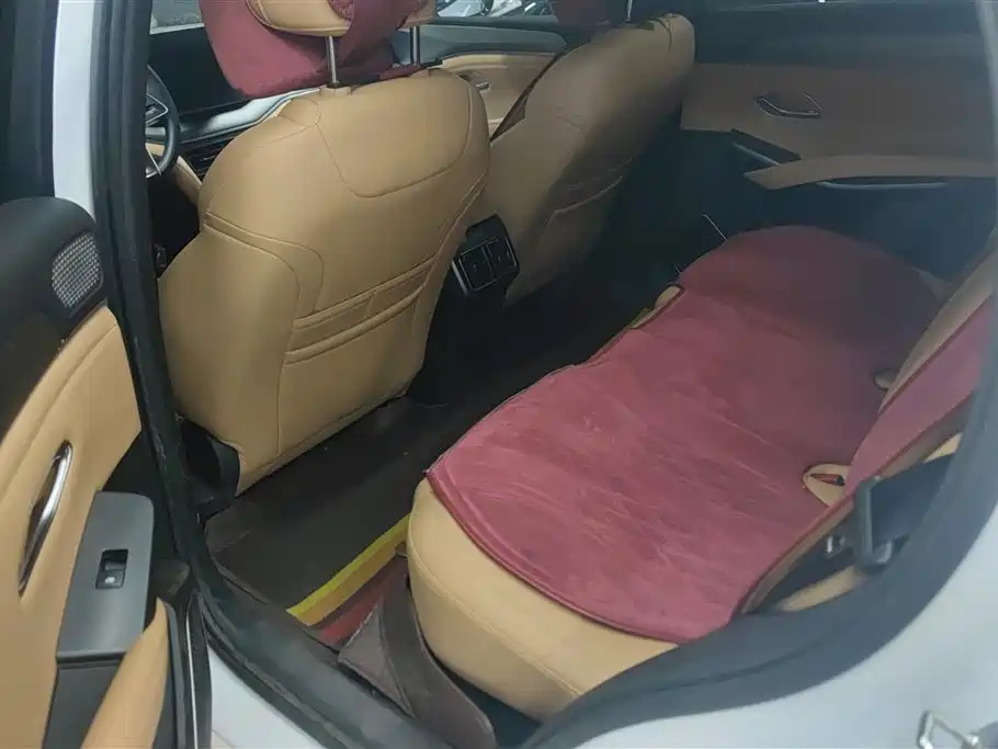 BYD L DM-i 2024 — фото 11