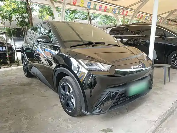 BYD Seagull 2024