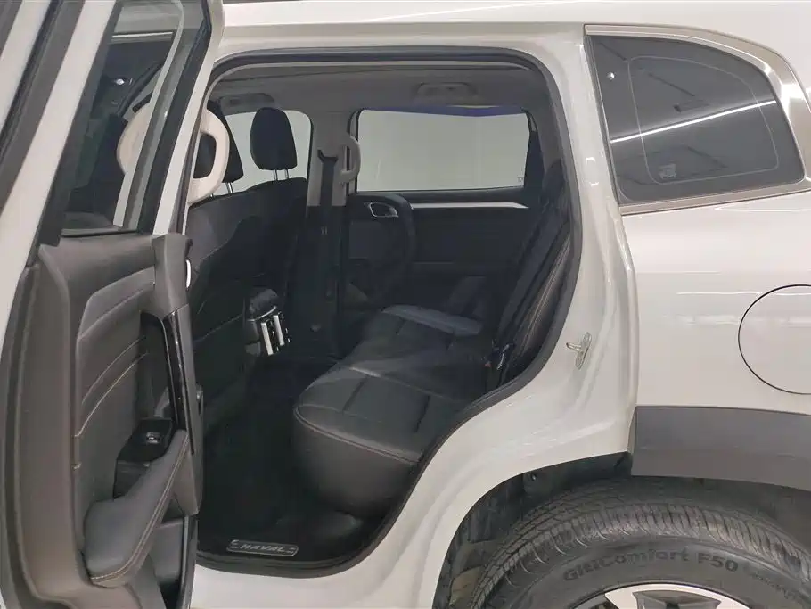 Haval Big Dog 2021 — фото 11