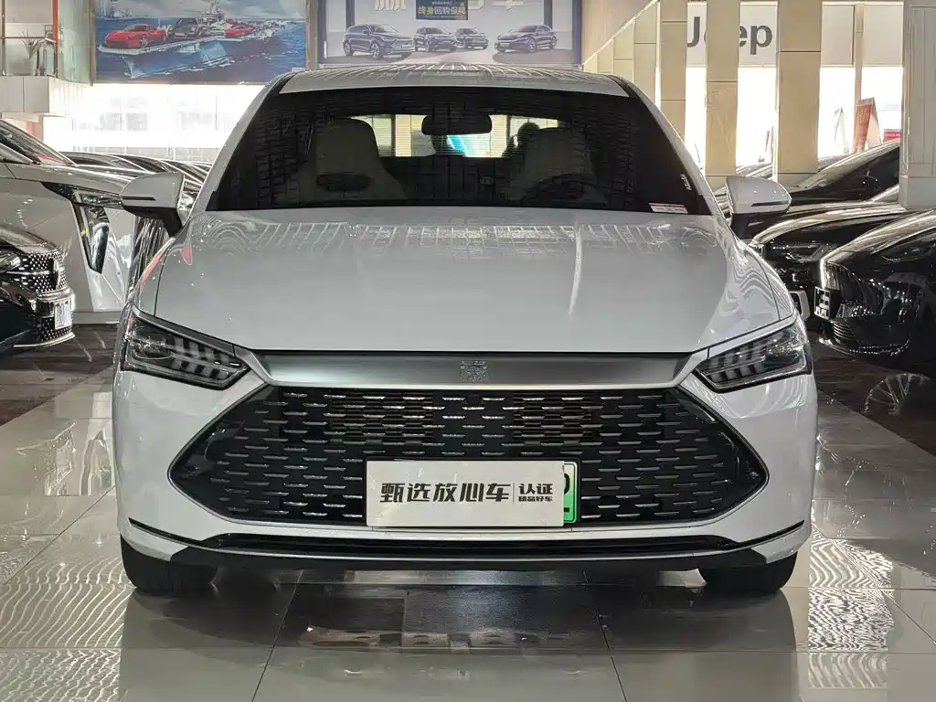 BYD Qin PLUS 2024 — фото 2