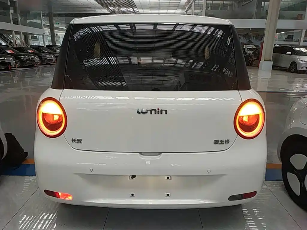 Qiyuan Lumin 2025