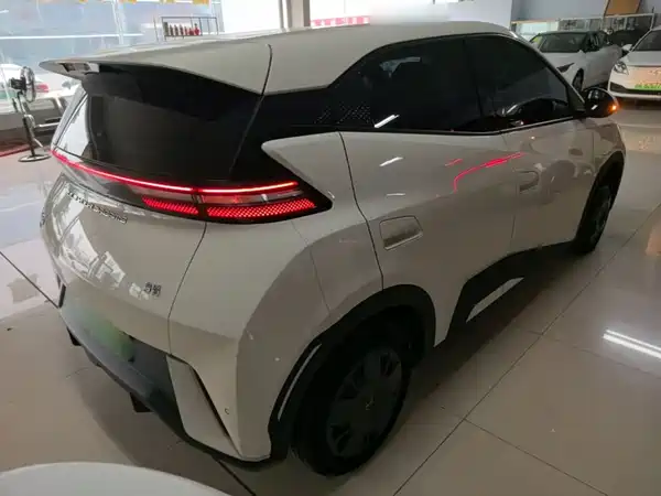 BYD Seagull 2024