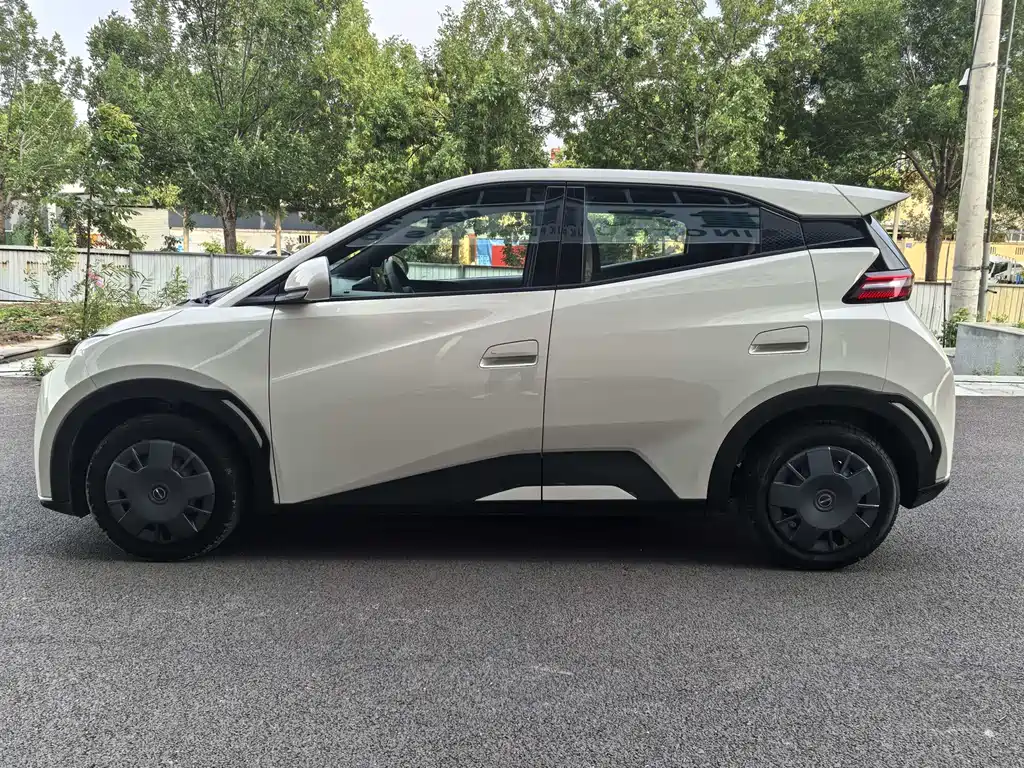 BYD Seagull 2024