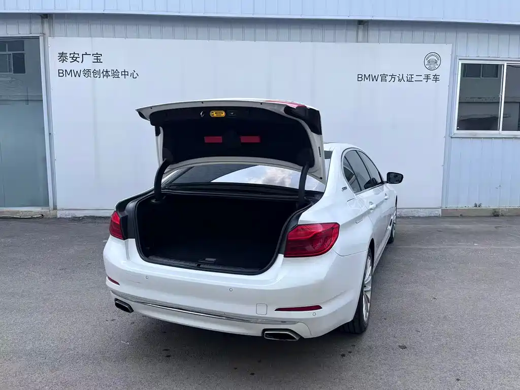 BMW 5 Series 2019