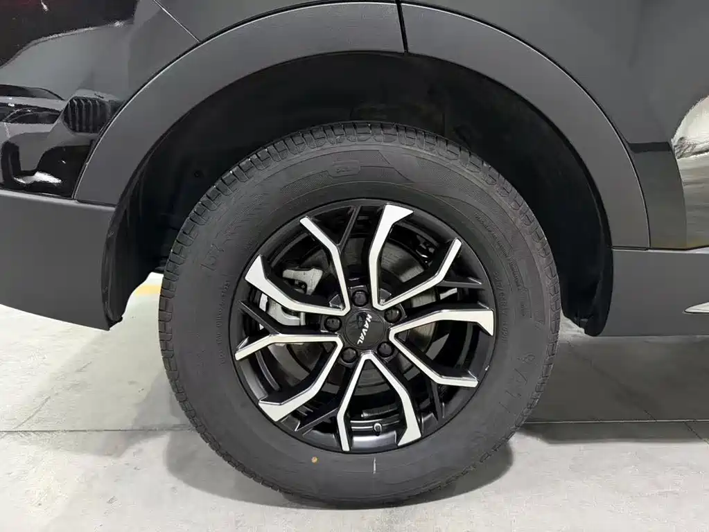 Haval H6 2023 — фото 12