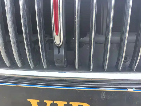 Hongqi H5 2021