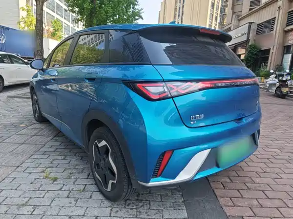 BYD Dolphin 2022