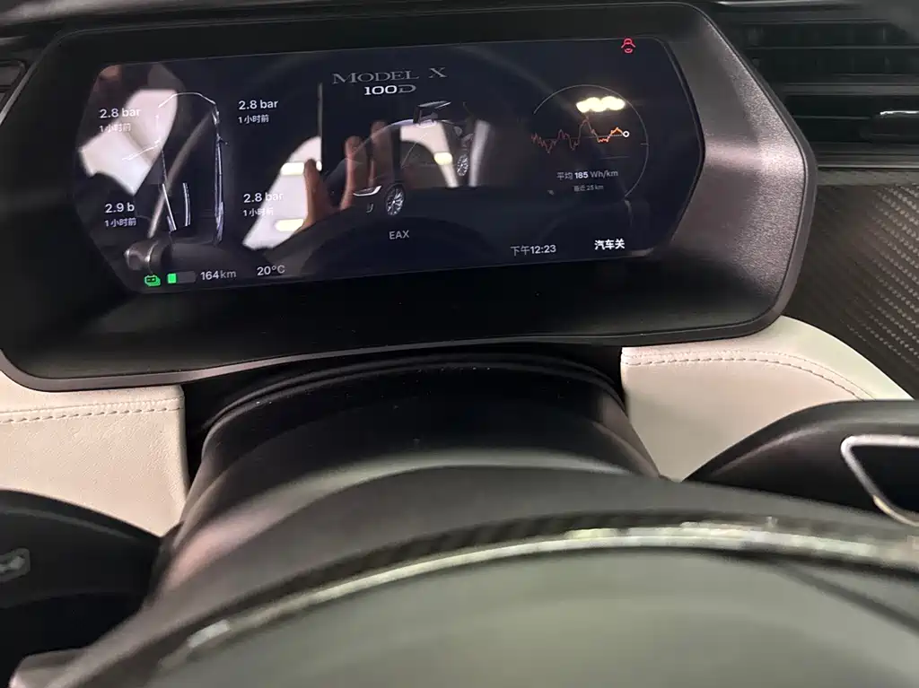 Tesla Model X 2019 — фото 11