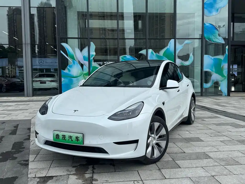 Tesla Model Y 2023 — фото 1