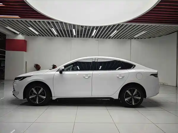BYD Destroyer 05 2024