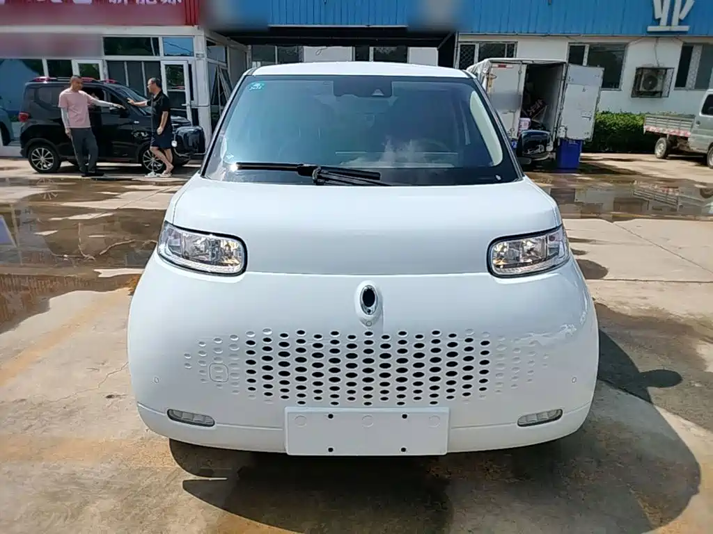 Ora White Cat 2020