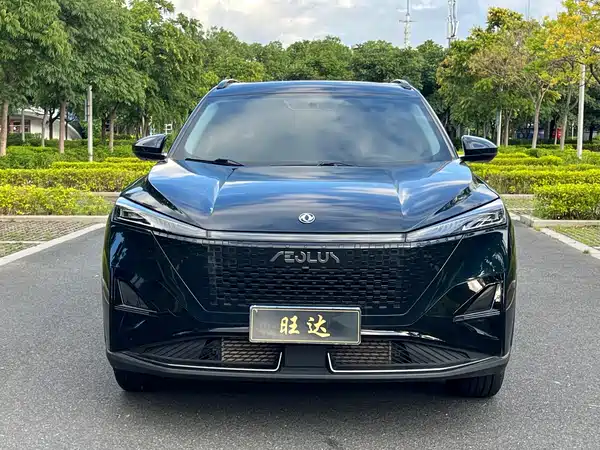 Dongfeng Haohan 2025
