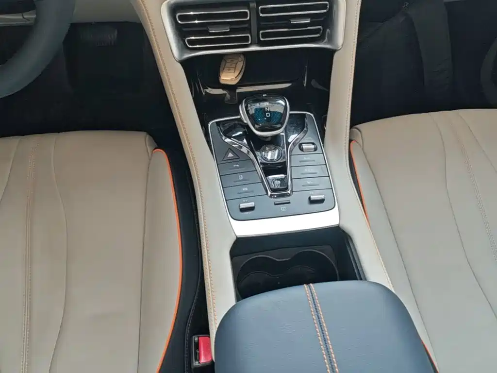 BYD Song PLUS New Energy 2023 — фото 14