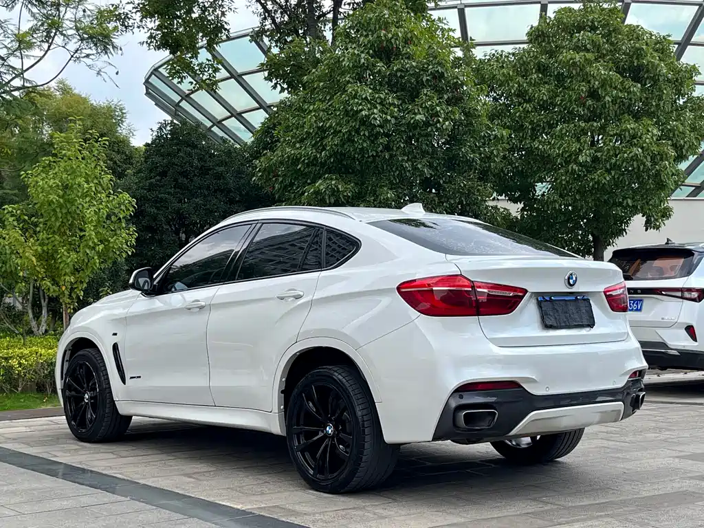 BMW X6 2017 — фото 9