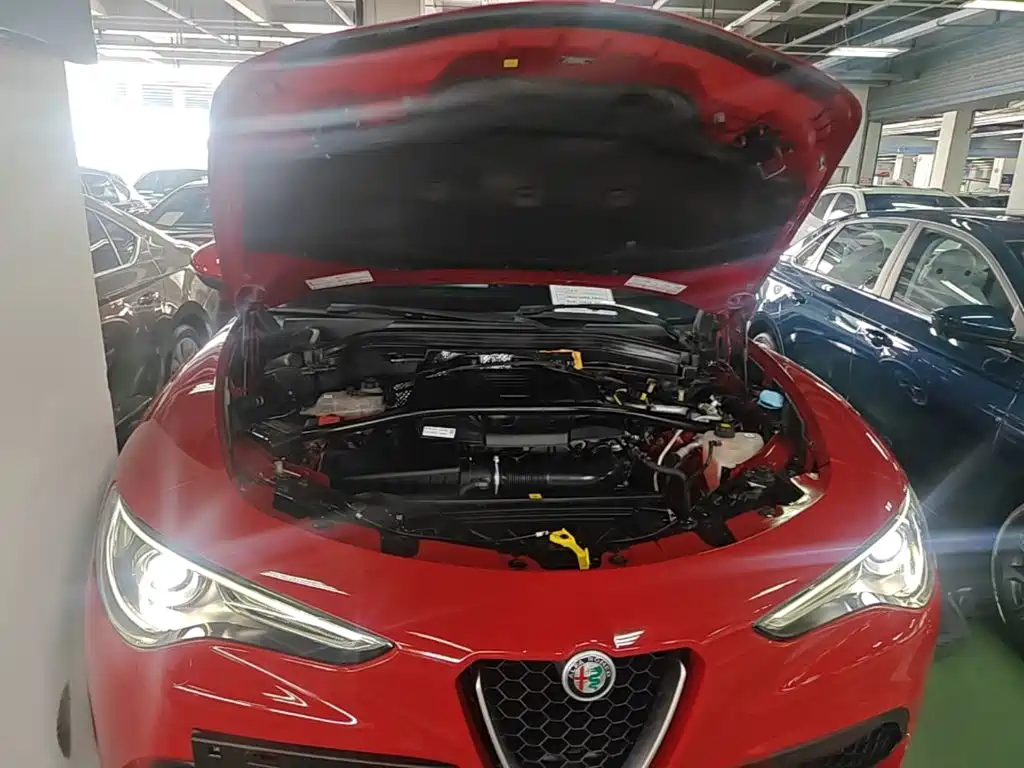 Alfa Romeo Stelvio 2017 — фото 20