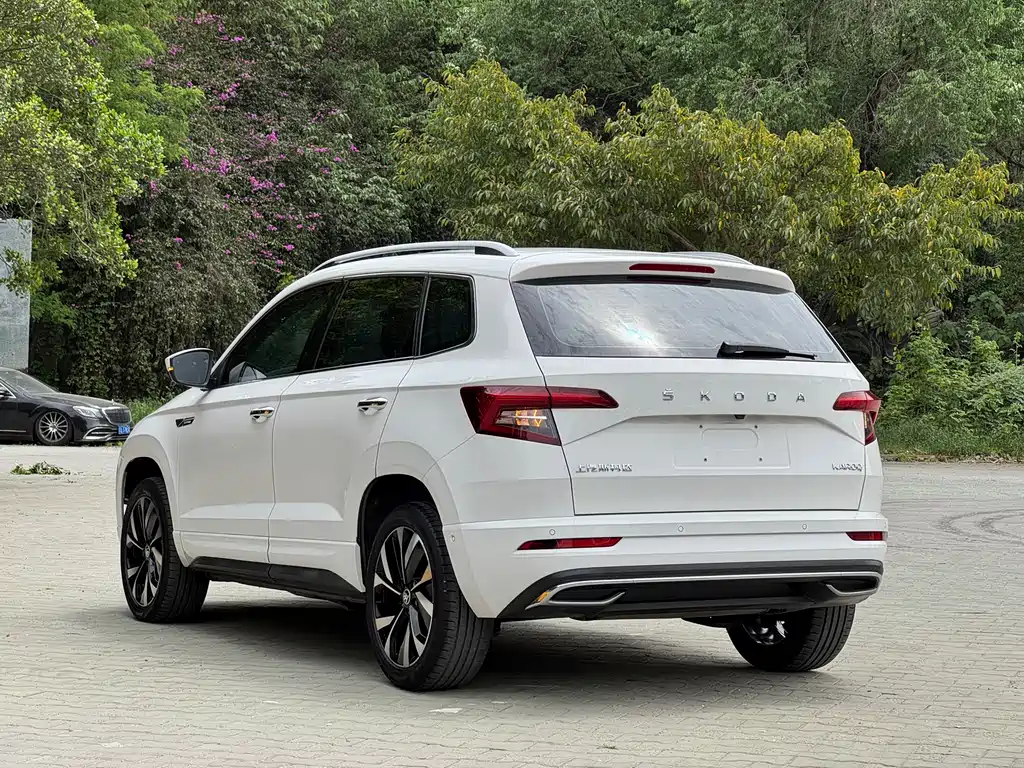Skoda Karoq 2022 — фото 4