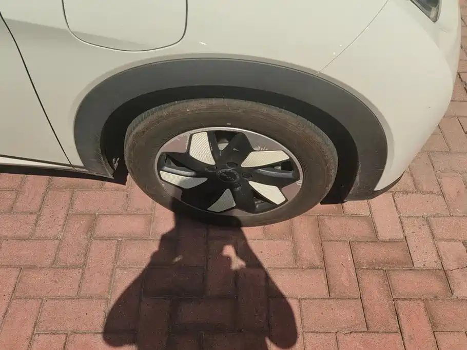 BYD Dolphin 2025