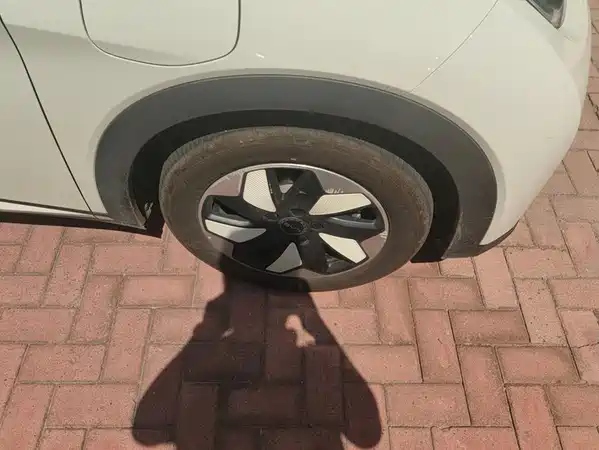 BYD Dolphin 2025