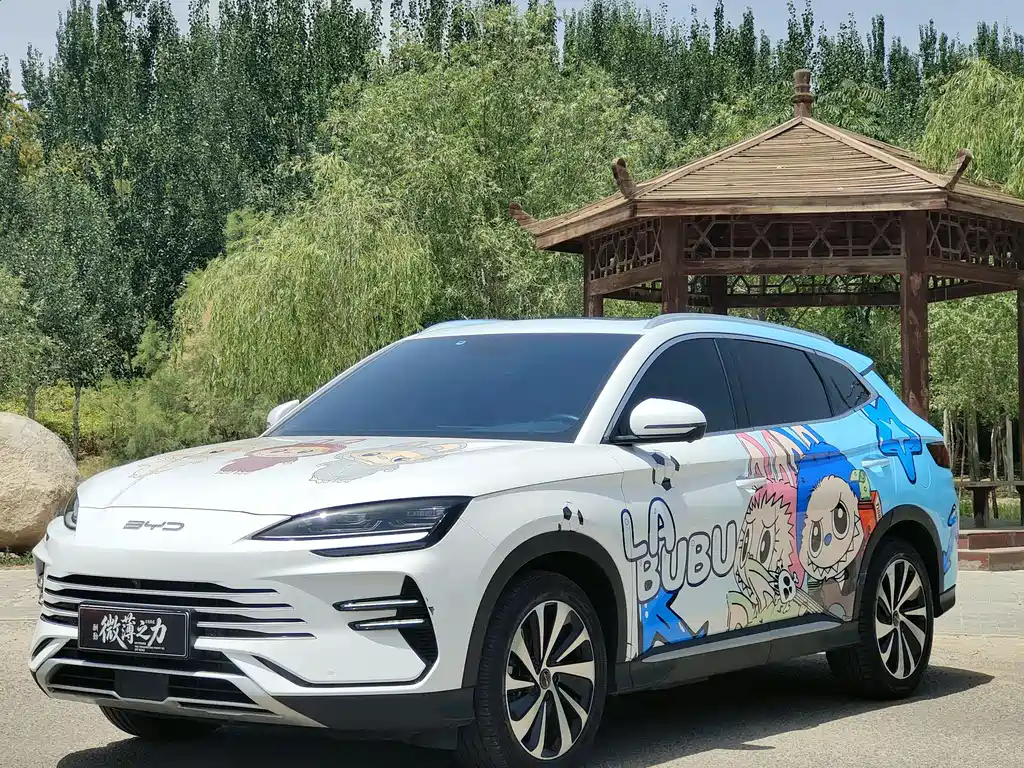 BYD Song PLUS New Energy 2024 — фото 1