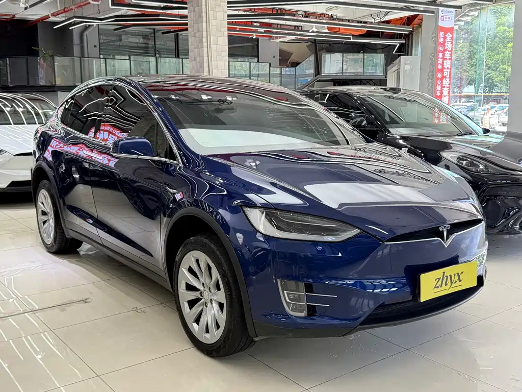Tesla Model X 2018 — фото 10