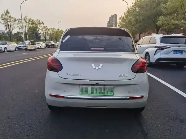 Wuling Bingo 2024