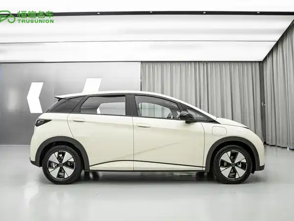 BYD Dolphin 2023