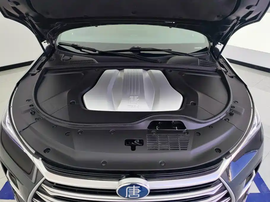 BYD Tang New Energy 2023 — фото 10