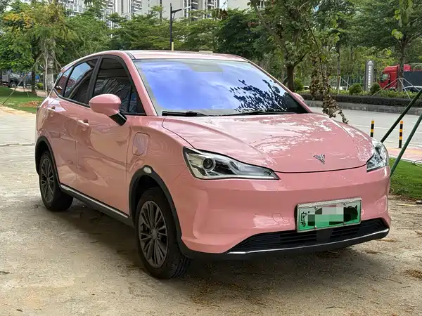 Neta V 2022
