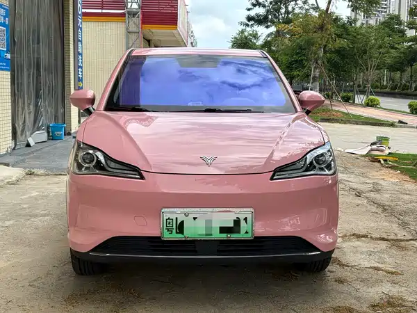 Neta V 2022