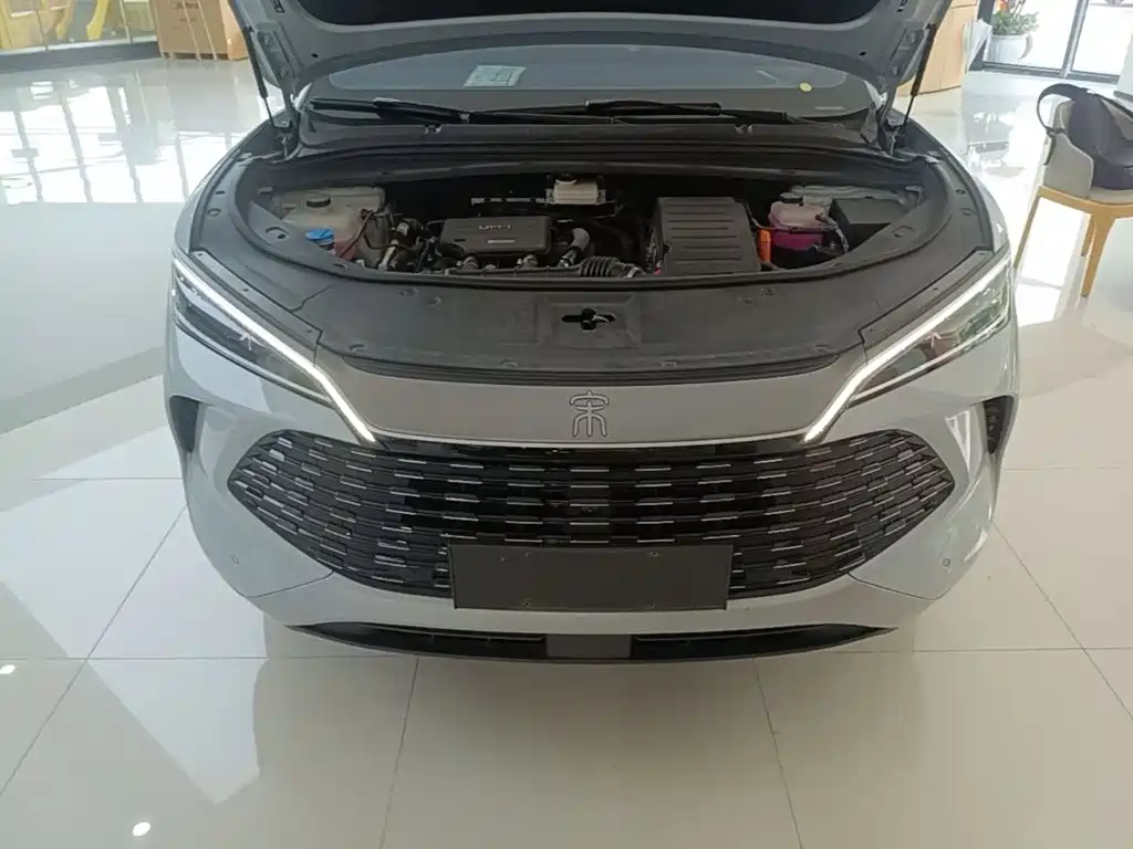 BYD Song L DM-i 2025 — фото 20