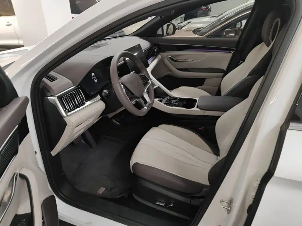 BYD Song PLUS New Energy 2024 — фото 15