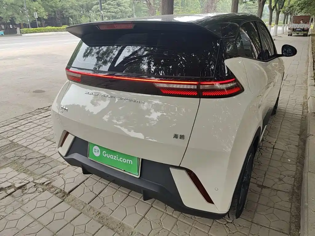 BYD Seagull 2024