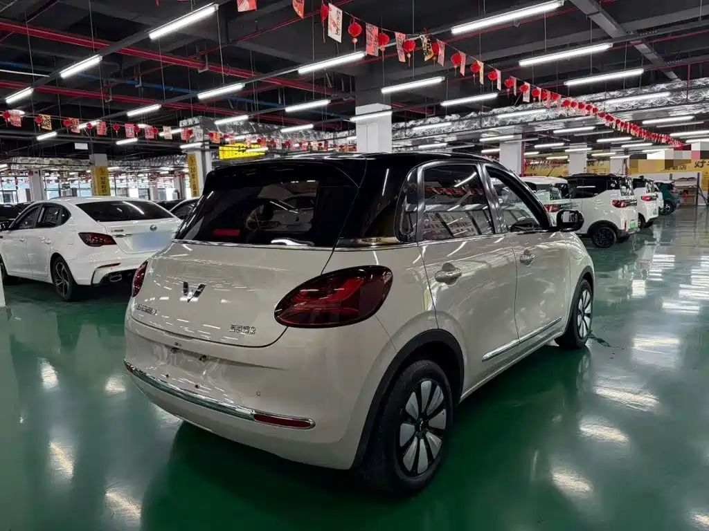 Wuling Bingo 2024