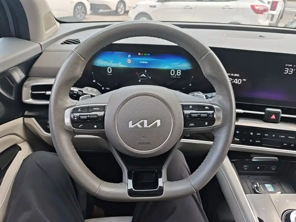 Kia Lion Platinum Expands The Boundary 2023 — фото 11