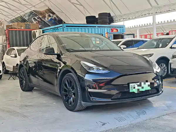 Tesla Model Y 2021