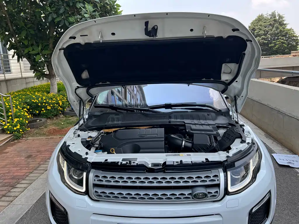 Land Rover Evoque 2019 — фото 19