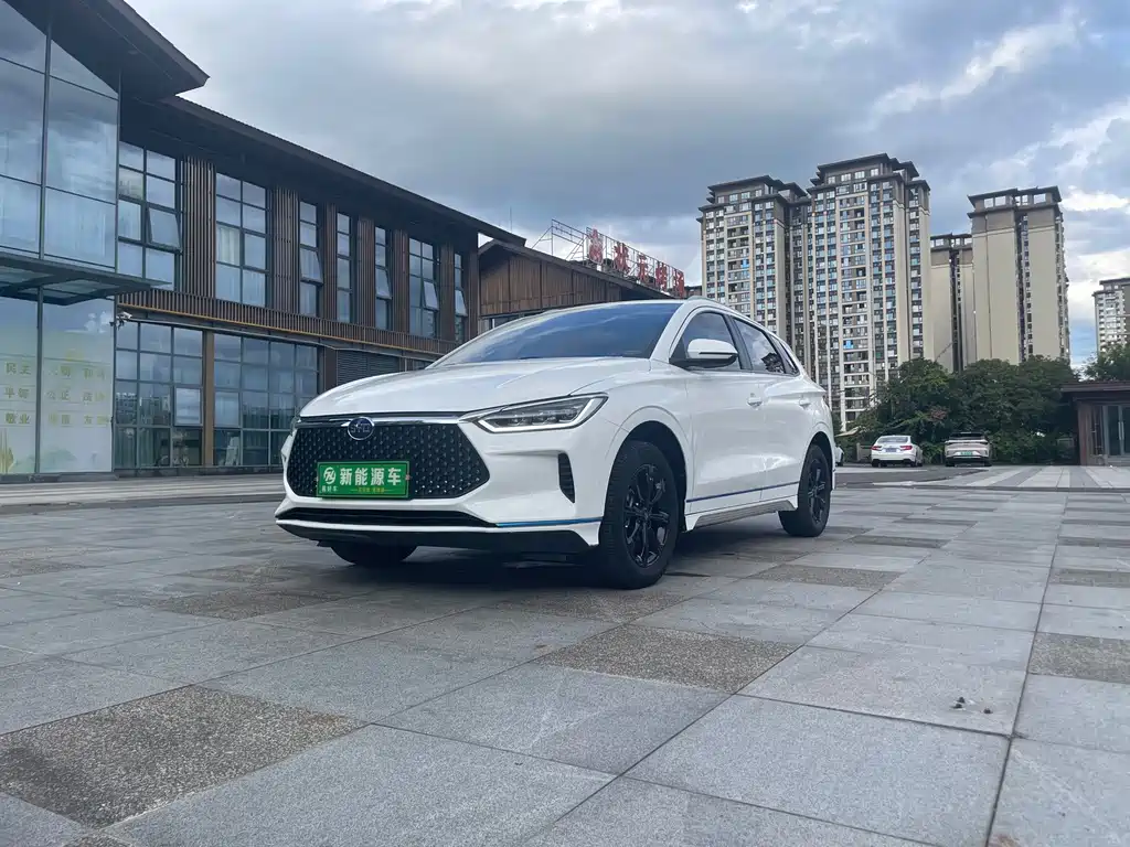 BYD e2 2021