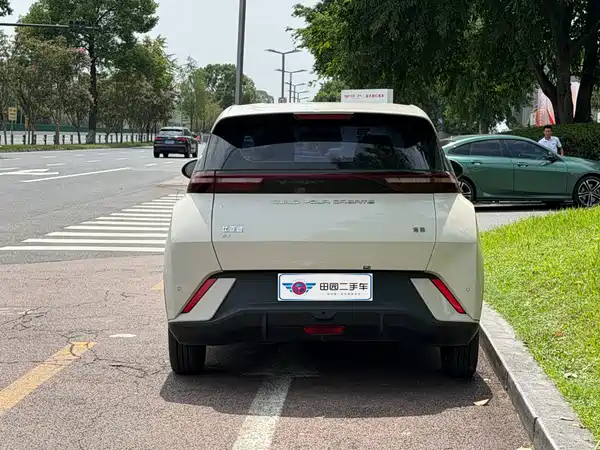 BYD Seagull 2024