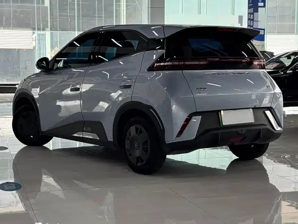 BYD Seagull 2024