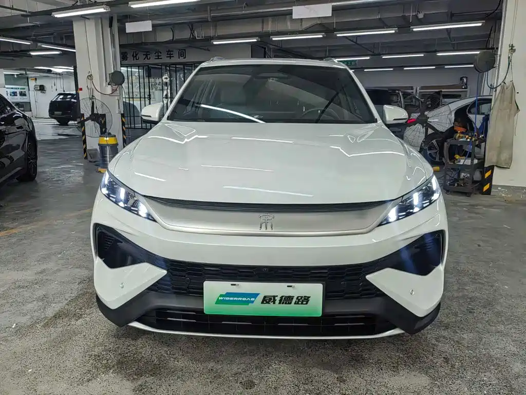 BYD Song Pro New Energy 2025 — фото 2