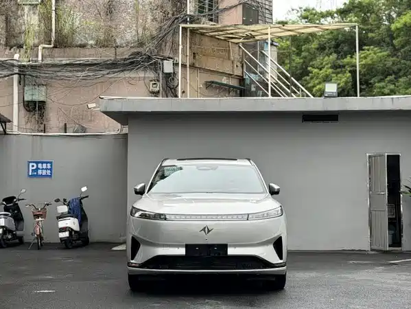 Dongfeng e008 2024