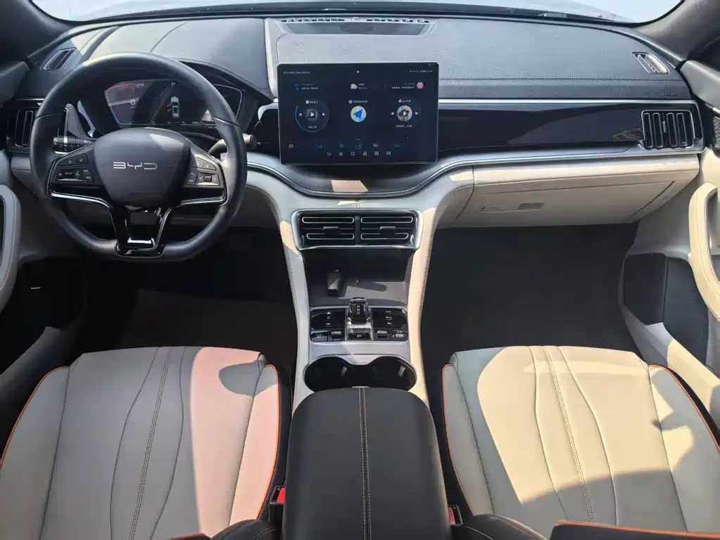 BYD Song PLUS New Energy 2023 — фото 7