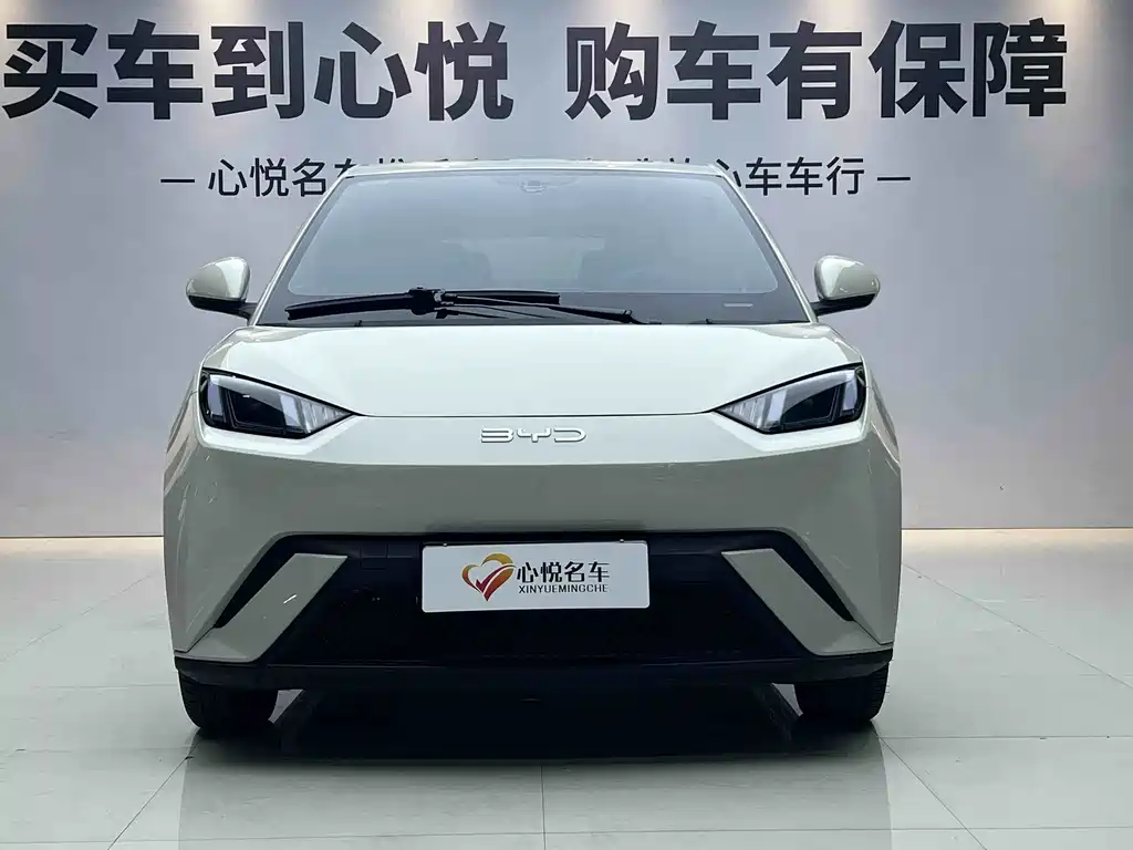 BYD Seagull 2024