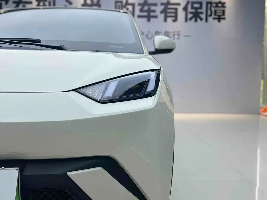 BYD Seagull 2024