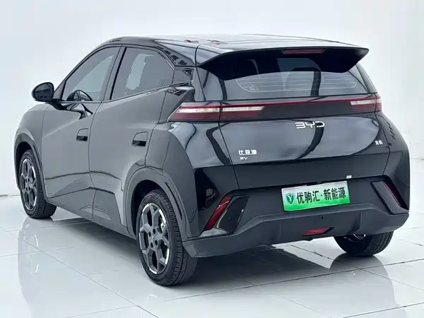 BYD Seagull 2024