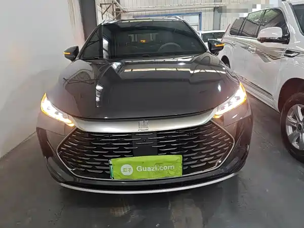 BYD Tang New Energy 2024