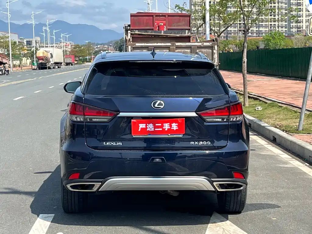 Lexus RX 2019 — фото 8
