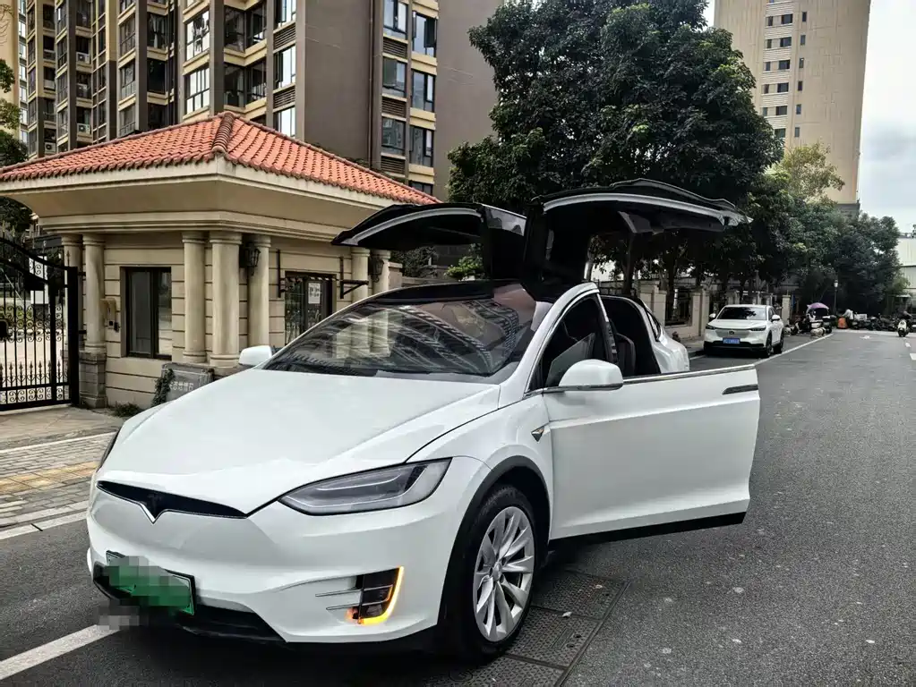 Tesla Model X 2020 — фото 18