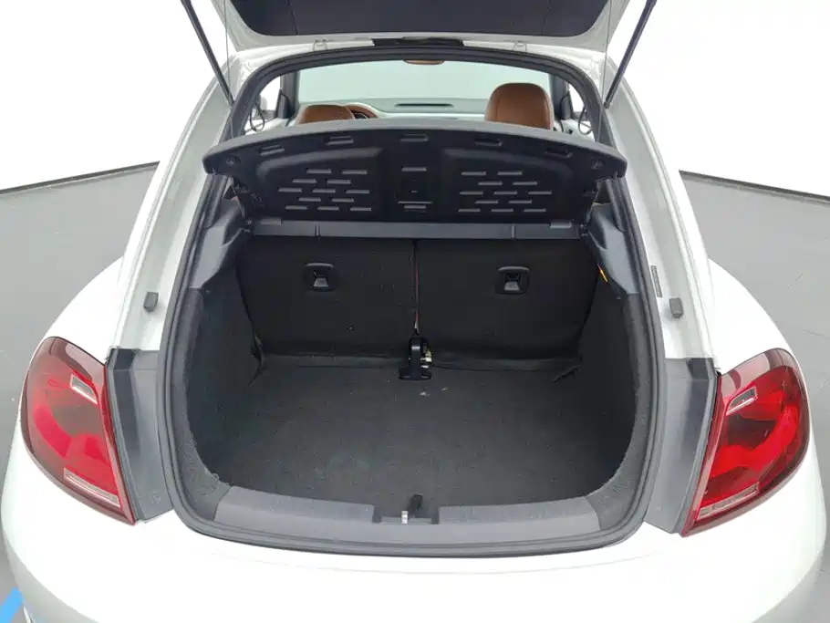 Volkswagen Beetle 2019