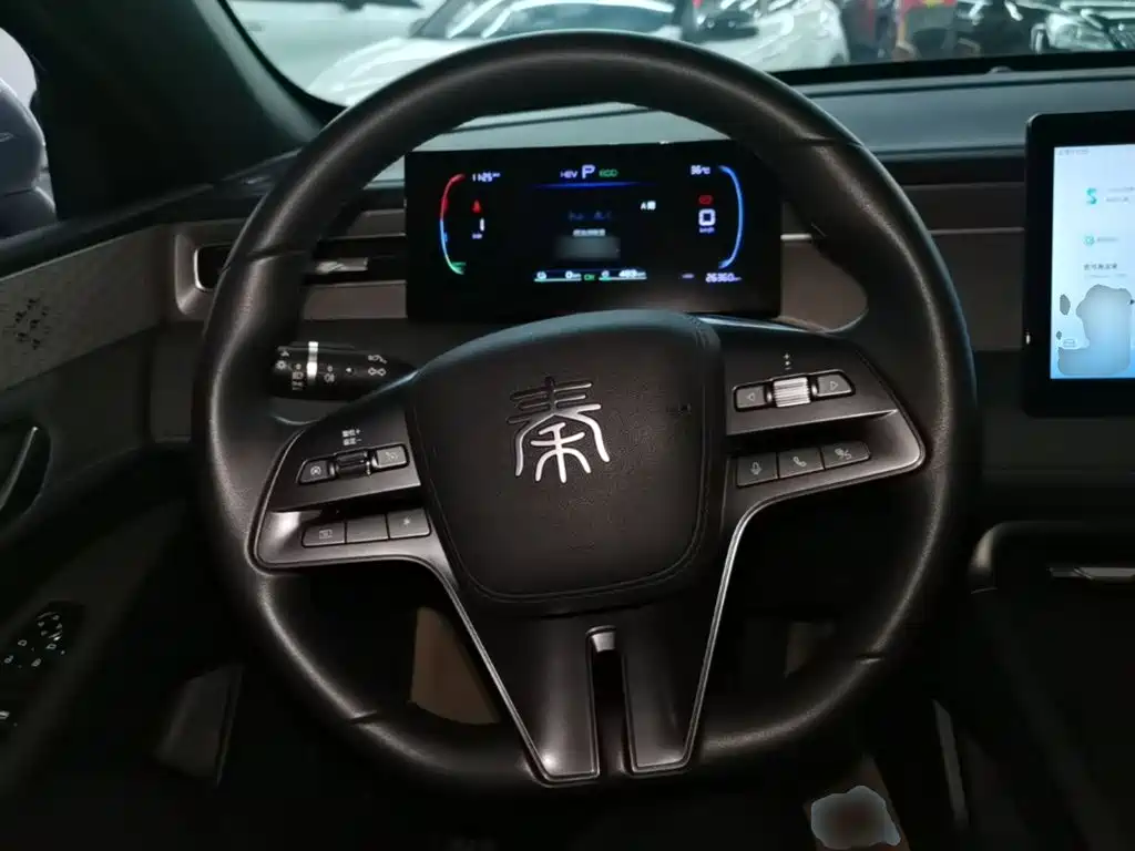 BYD Qin PLUS 2025 — фото 11
